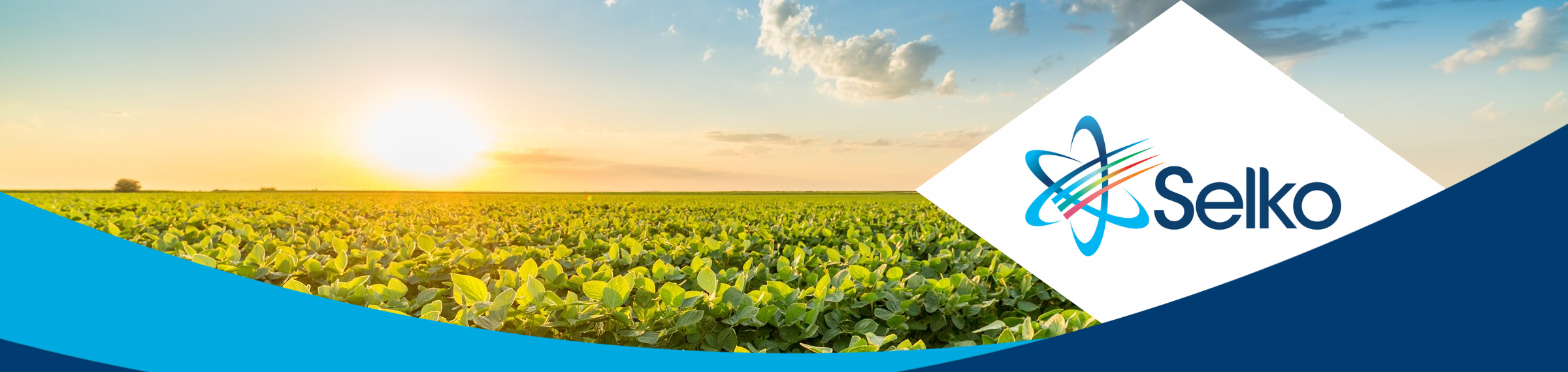 Selko, a complete package of feed additive solutions
